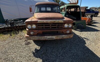 Dodge D100 1959