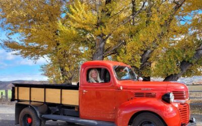 Dodge Other Pickups 1947
