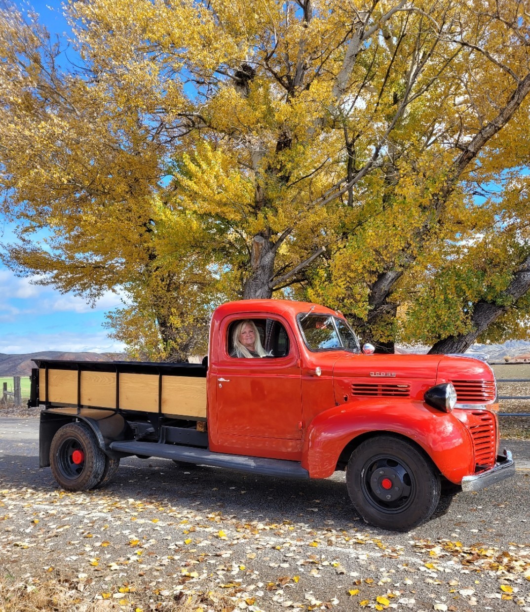 Dodge-Other-Pickups-1947-Cab-Chassis-Red