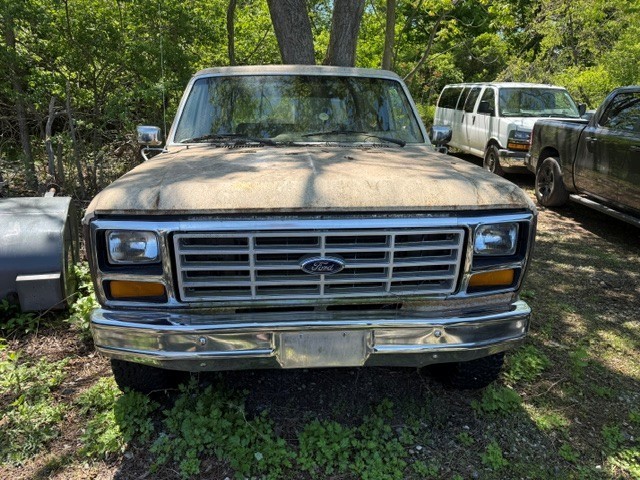 Ford-Bronco-1983-Tan-Tan