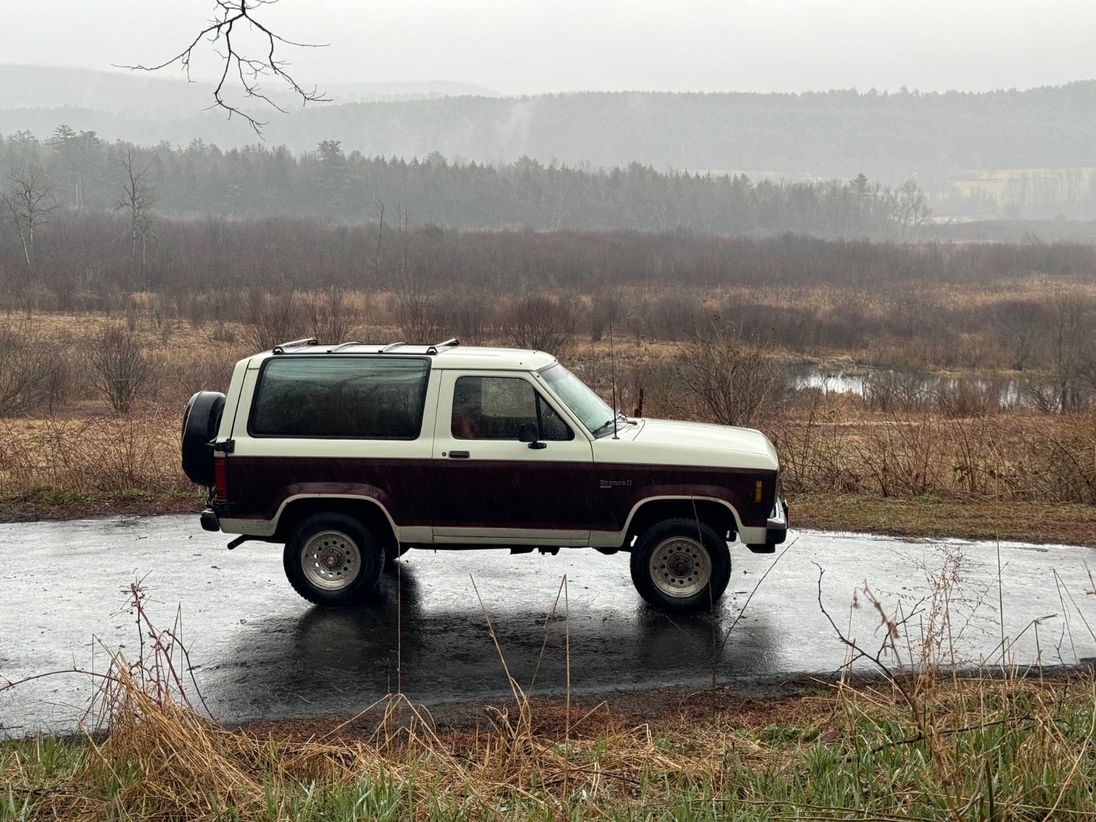 Ford Bronco 1988