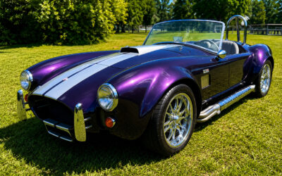 Ford Cobra Replica 427 Shelby Hot Rod Custom Build 1966