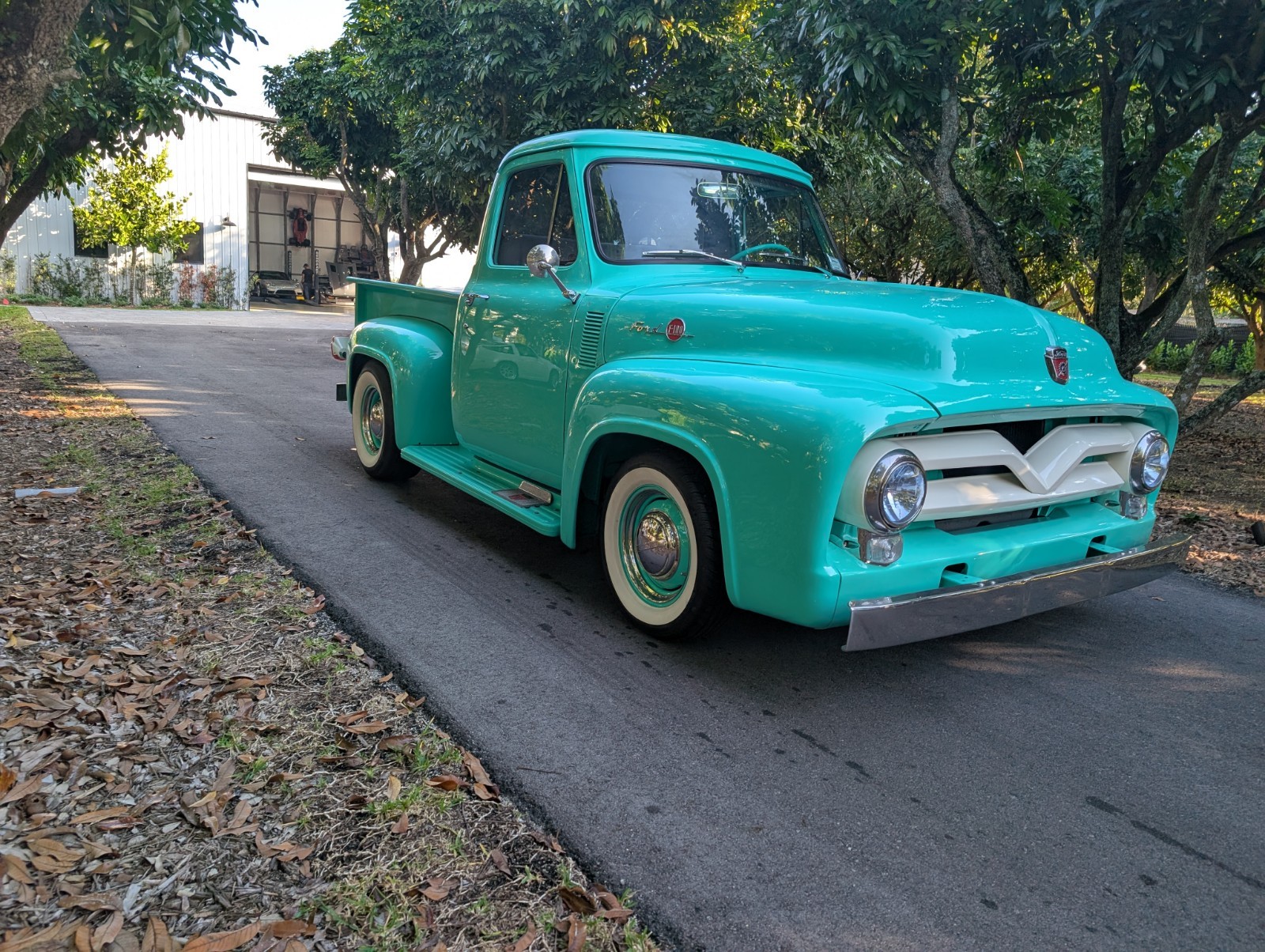 Ford-F-150-1955-PICK-UP-GREYTORQUOISE