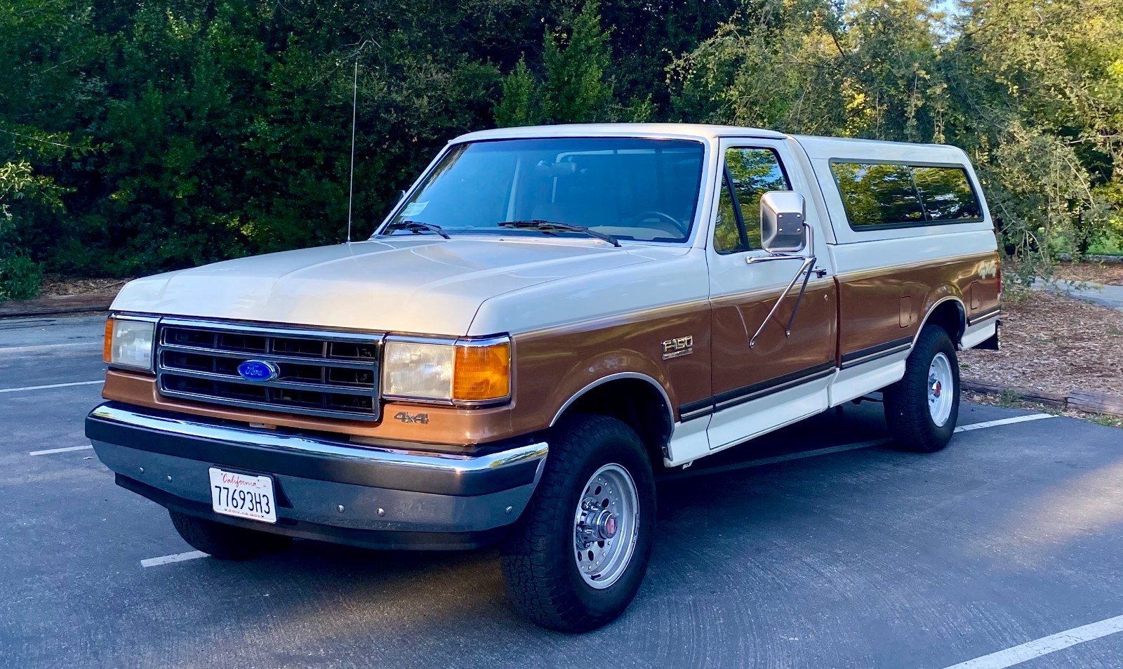 Ford F-150 1991