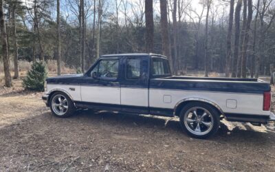 Ford F-150 1995