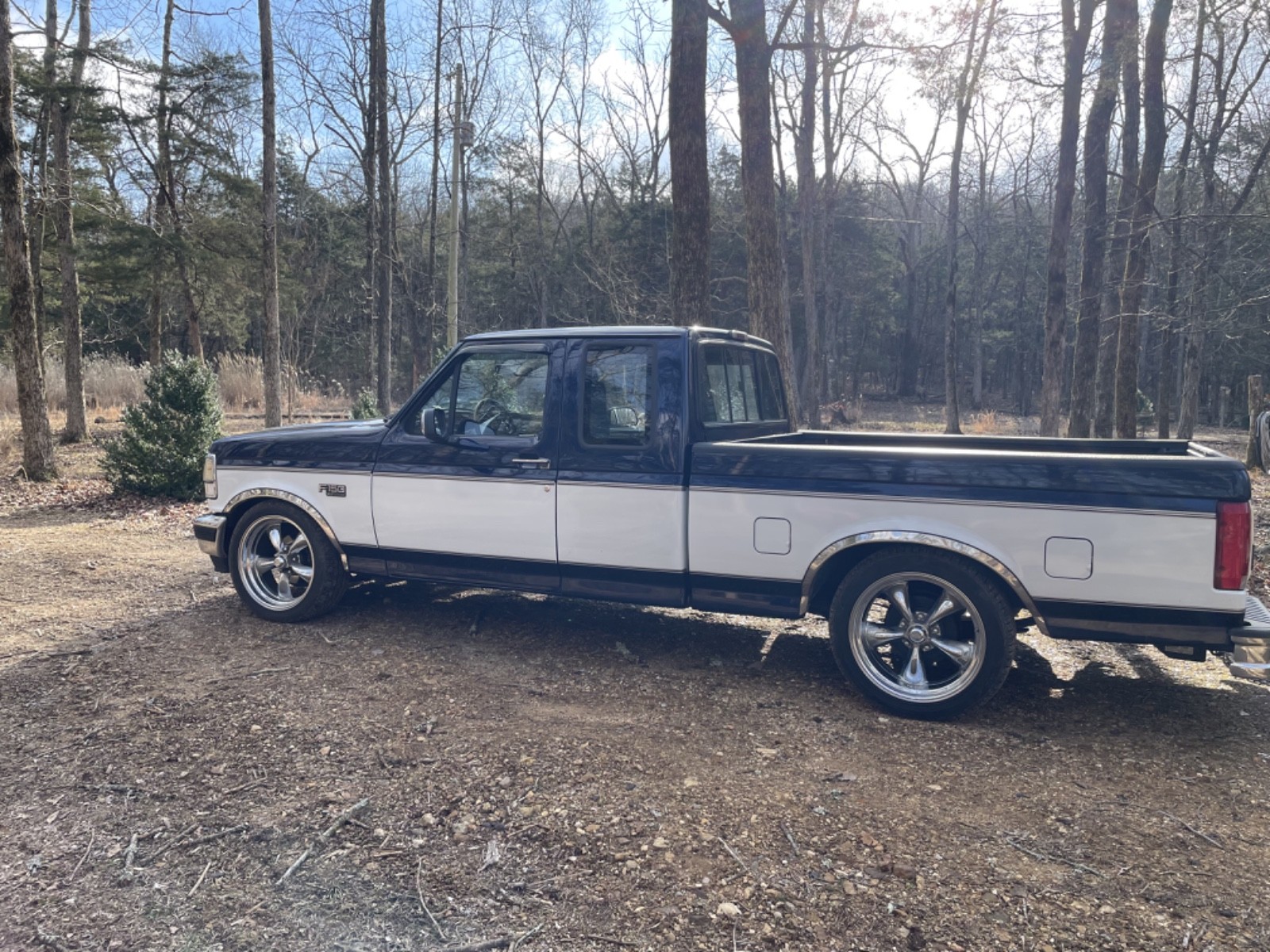 Ford-F-150-1995-Extended-Cab-Pickup-Blue