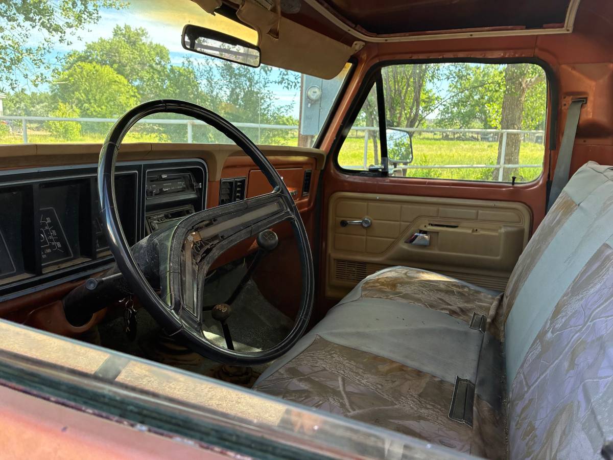 Ford-F-250-4-x-4-1977-brown