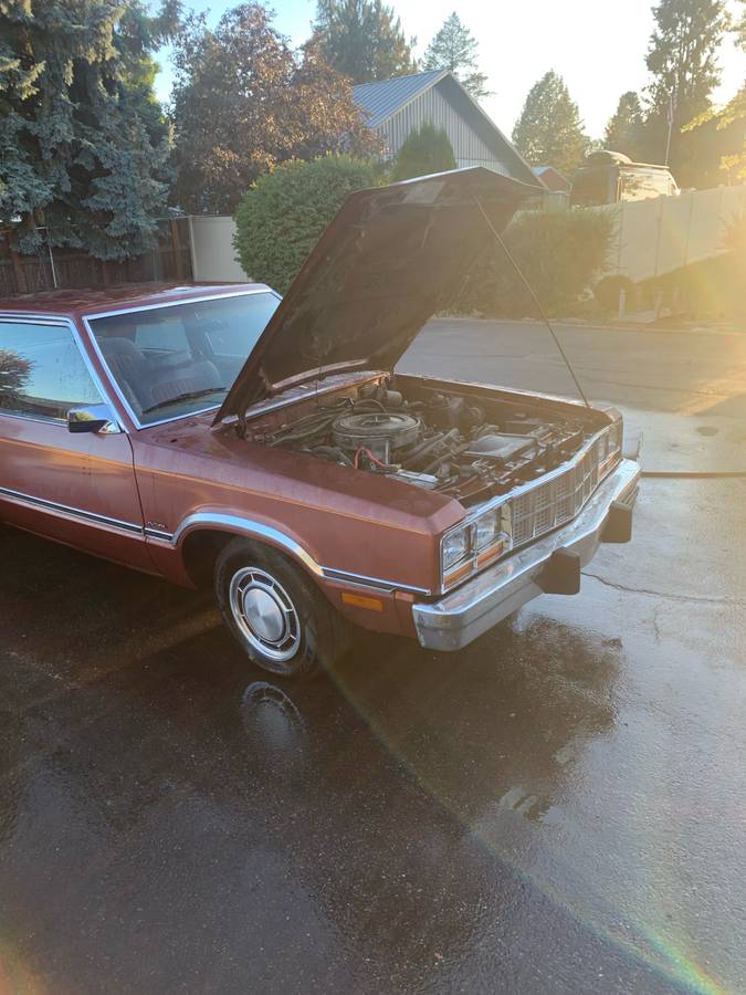 Ford-Fairmont-1983-brown