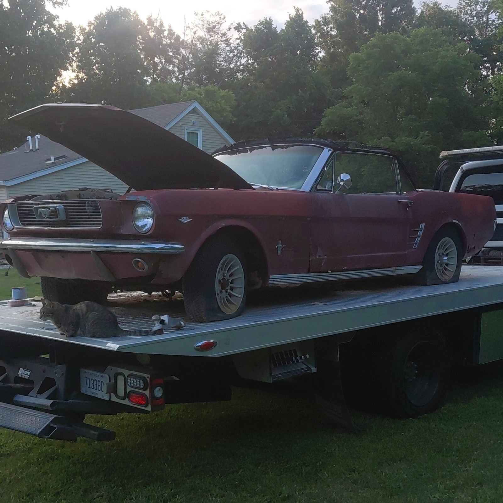 Ford Mustang 1966