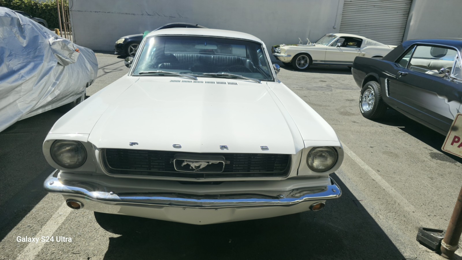 Ford Mustang 1966