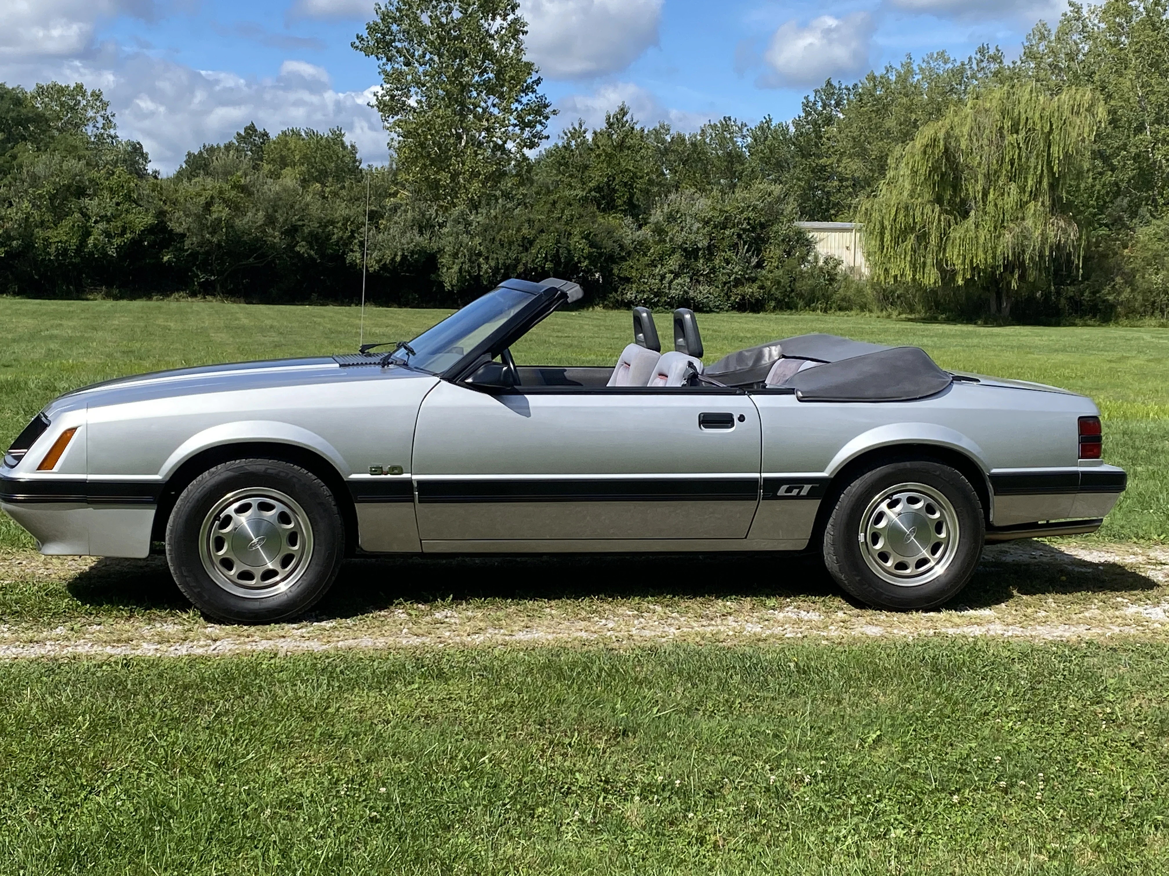 Ford-Mustang-1985-Silver-Silver