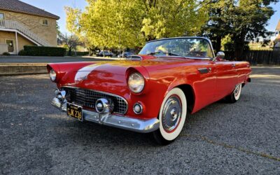 Ford Thunderbird 1955