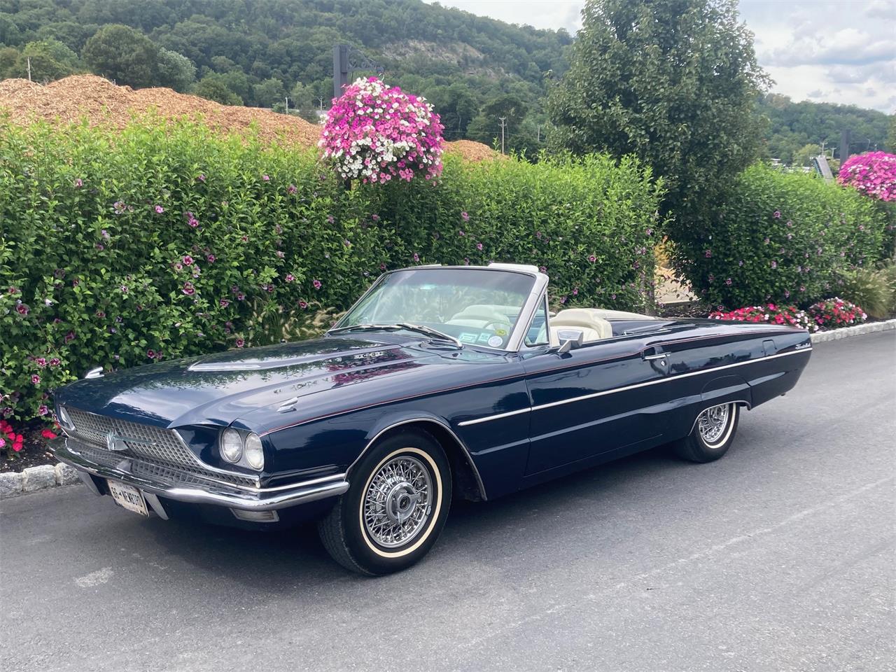 Ford-Thunderbird-1966-Blue-White