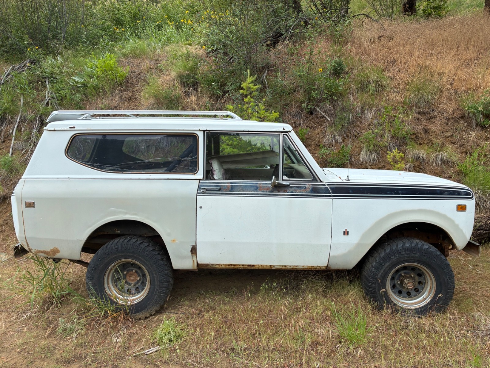 International-Harvester-Scout-1974