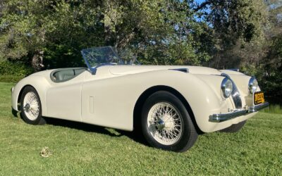 Jaguar  1952