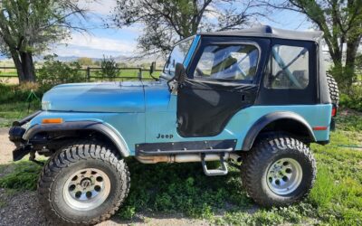 Jeep CJ 1979