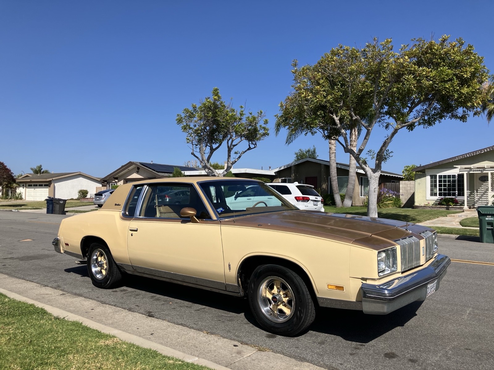 Oldsmobile-Cutlass-1978
