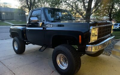 Other Makes 1/2 Ton Pickup 1980