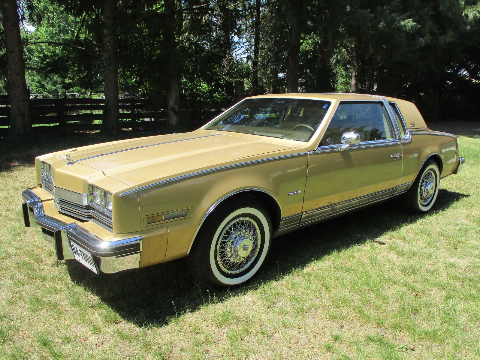 Other-Makes-Toronado-Caliente-1984-Coupe-Gold
