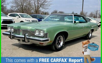 Pontiac Catalina 1973