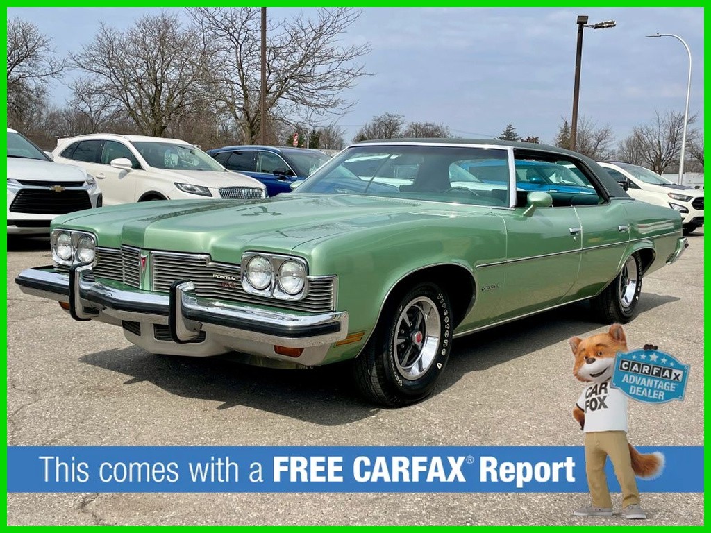 Pontiac-Catalina-1973-Other-Color