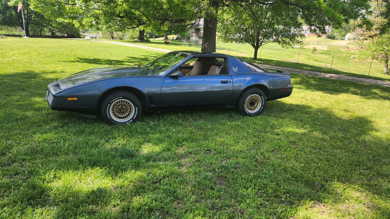 Pontiac Firebird 1983