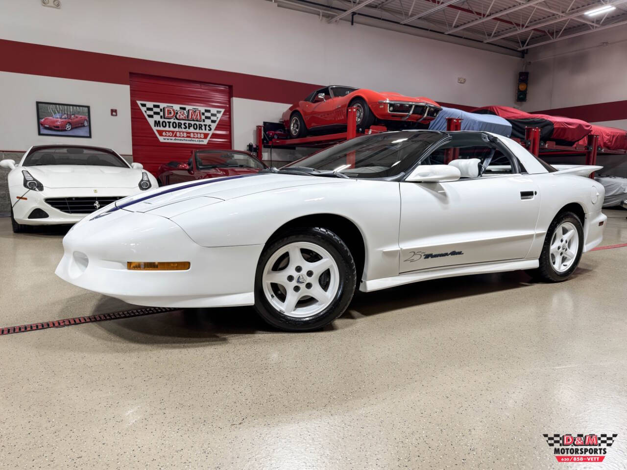 Pontiac-Firebird-1994-Bright-White-White