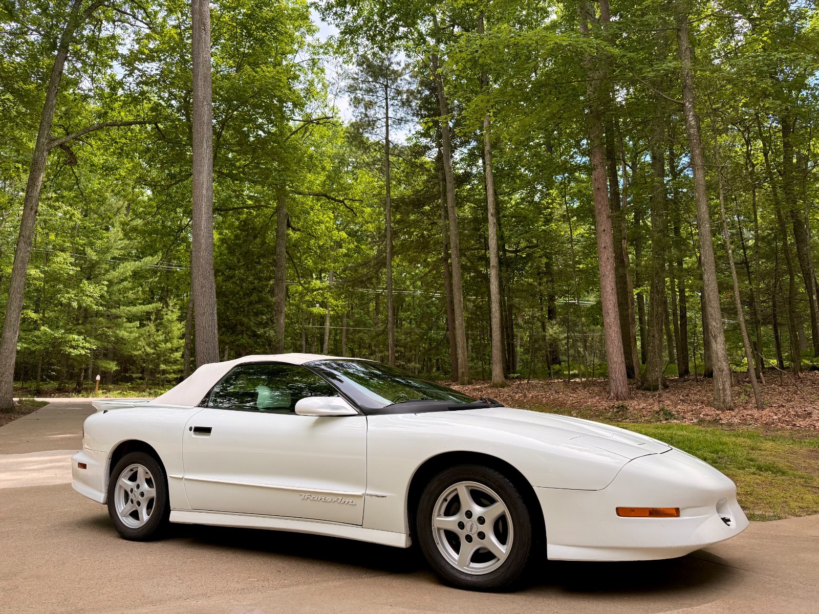 Pontiac-Firebird-1995-Convertible-White