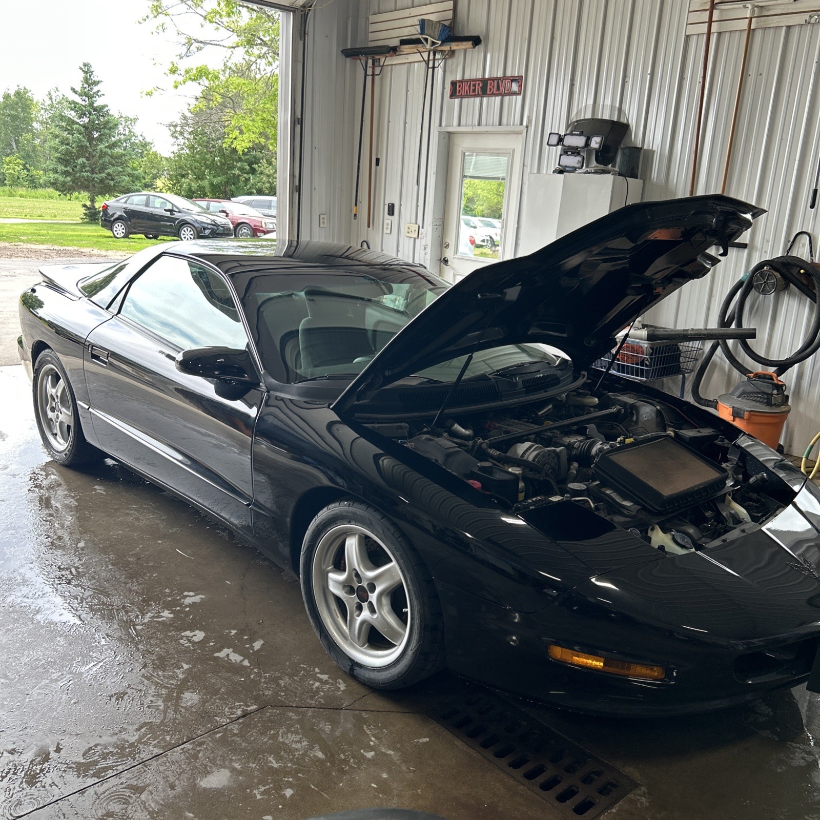 Pontiac Firebird 1995