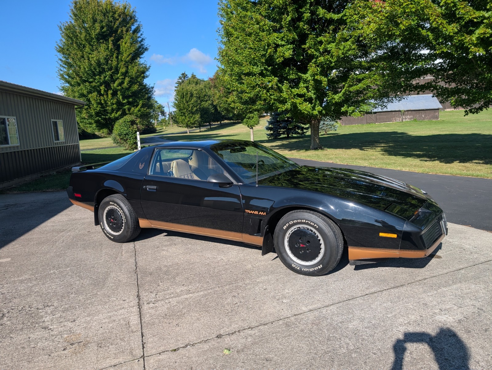 Pontiac-Trans-Am-1982-Coupe-Tan