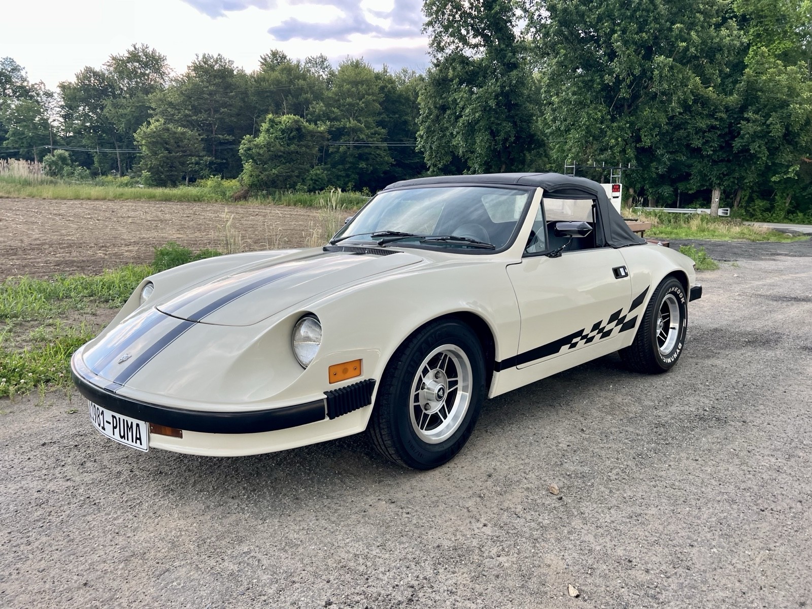 Puma-GTE-1981-Convertible
