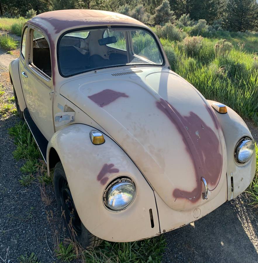 Volkswagen-Beetle-1969-custom
