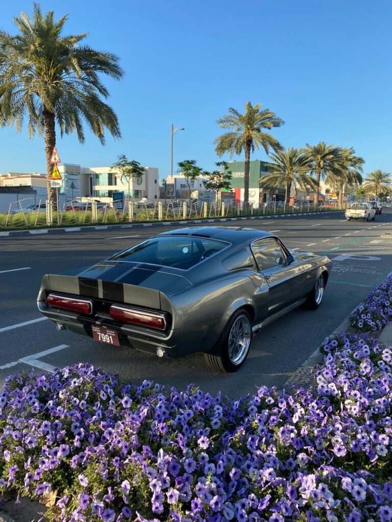 Eleanor