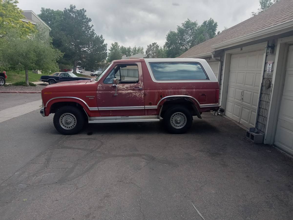 1986-1986-red