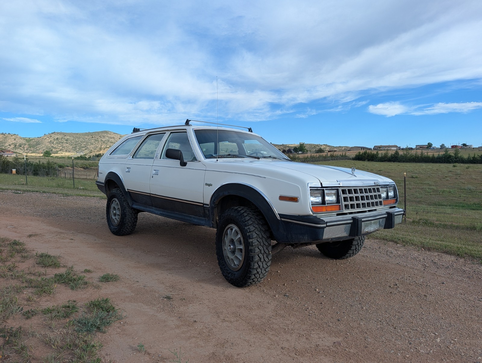 AMC-Other-1984-Wagon-Blue