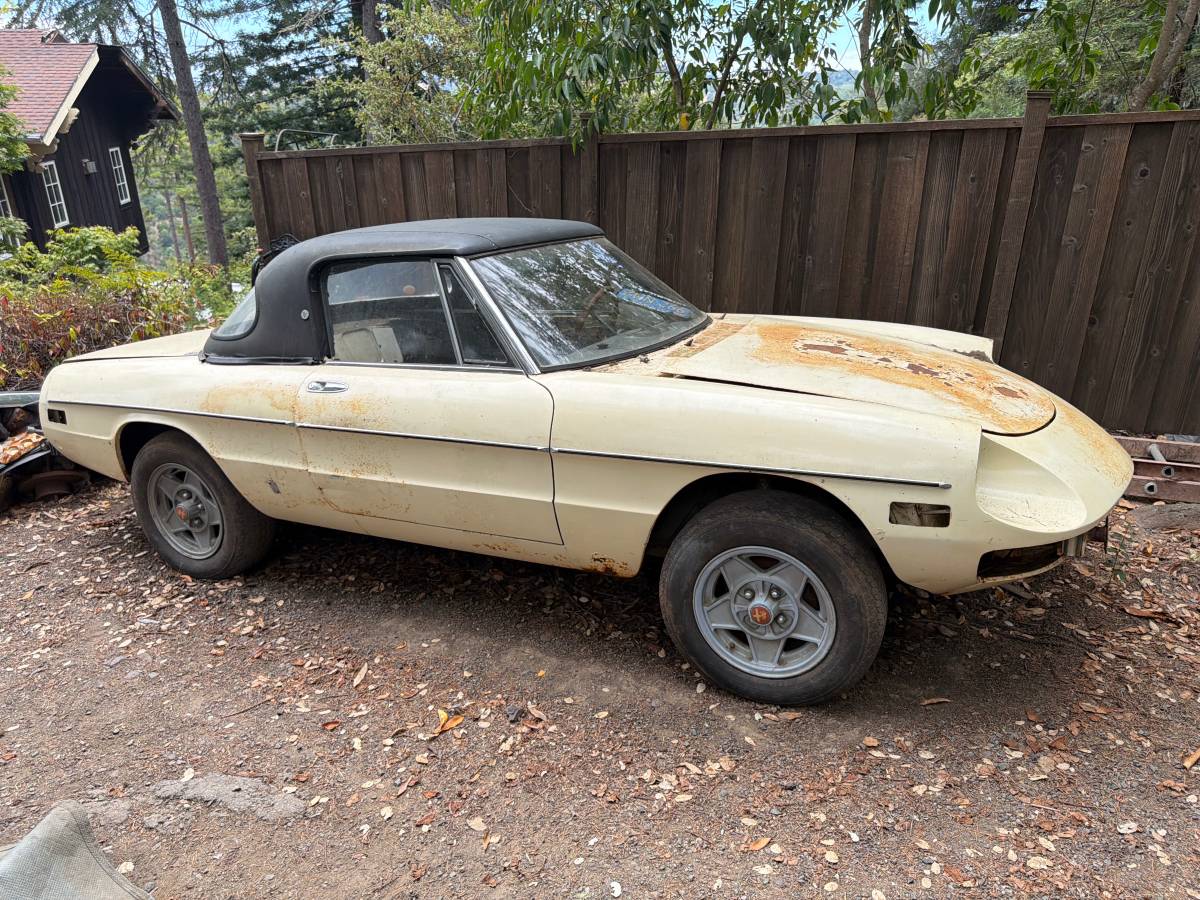 Alfa-romeo-Spider-1974-1974