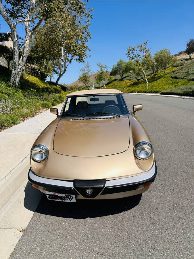 Alfa-romeo-Spider-1985-custom