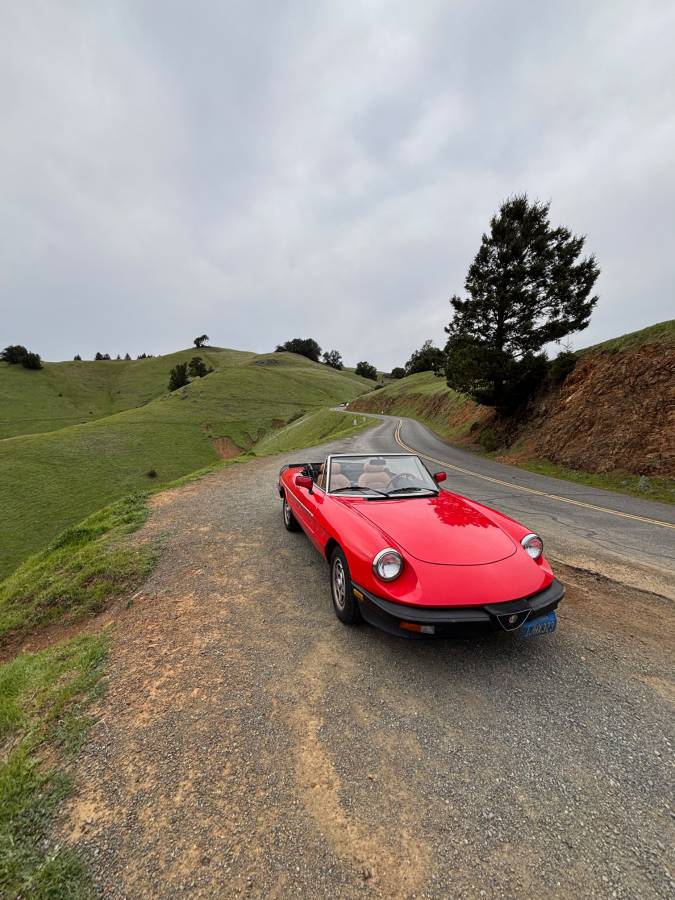 Alfa-romeo-Spider-veloce-1983-red