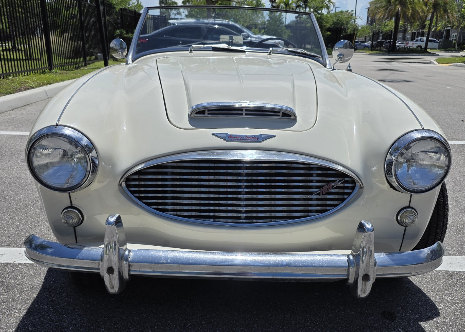 Austin-Healey-100-6-1959-Convertible-Black