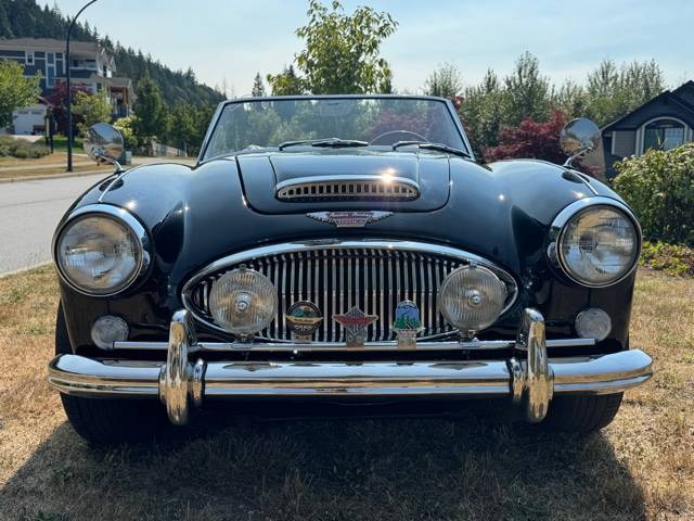 Austin-healey-1965