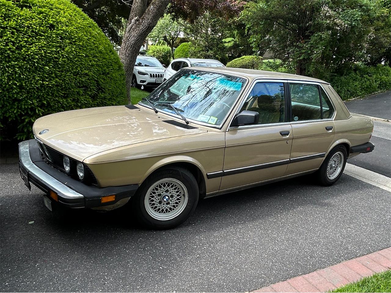 Bmw-528e-1982-Bronzit-Beige-Metall-Pearl-Beige