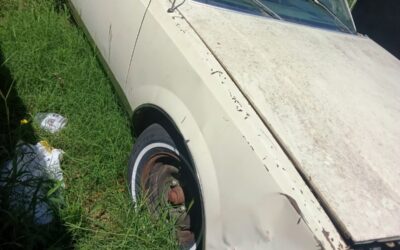 Buick Regal 1984