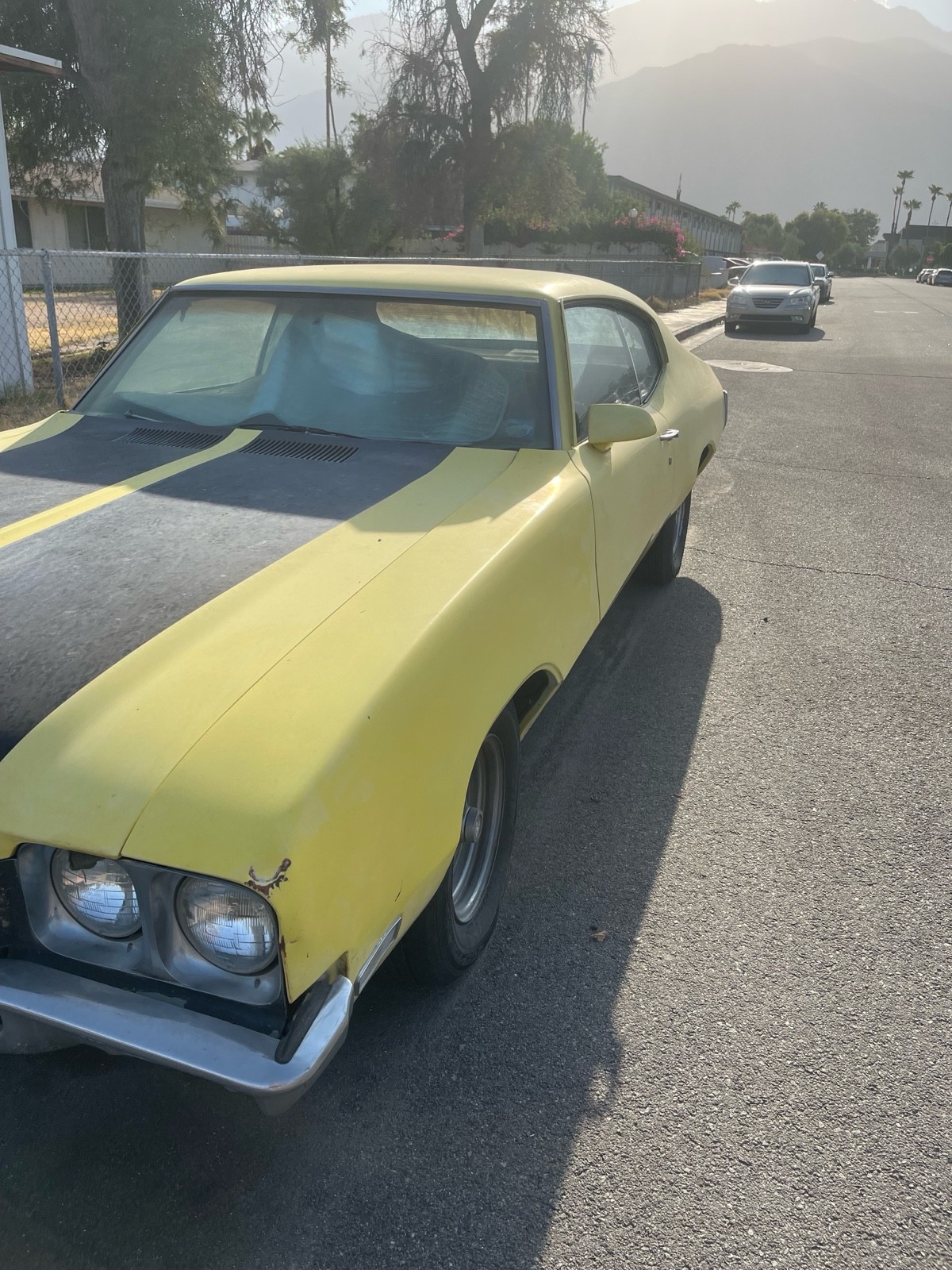 Buick Skylark 1970