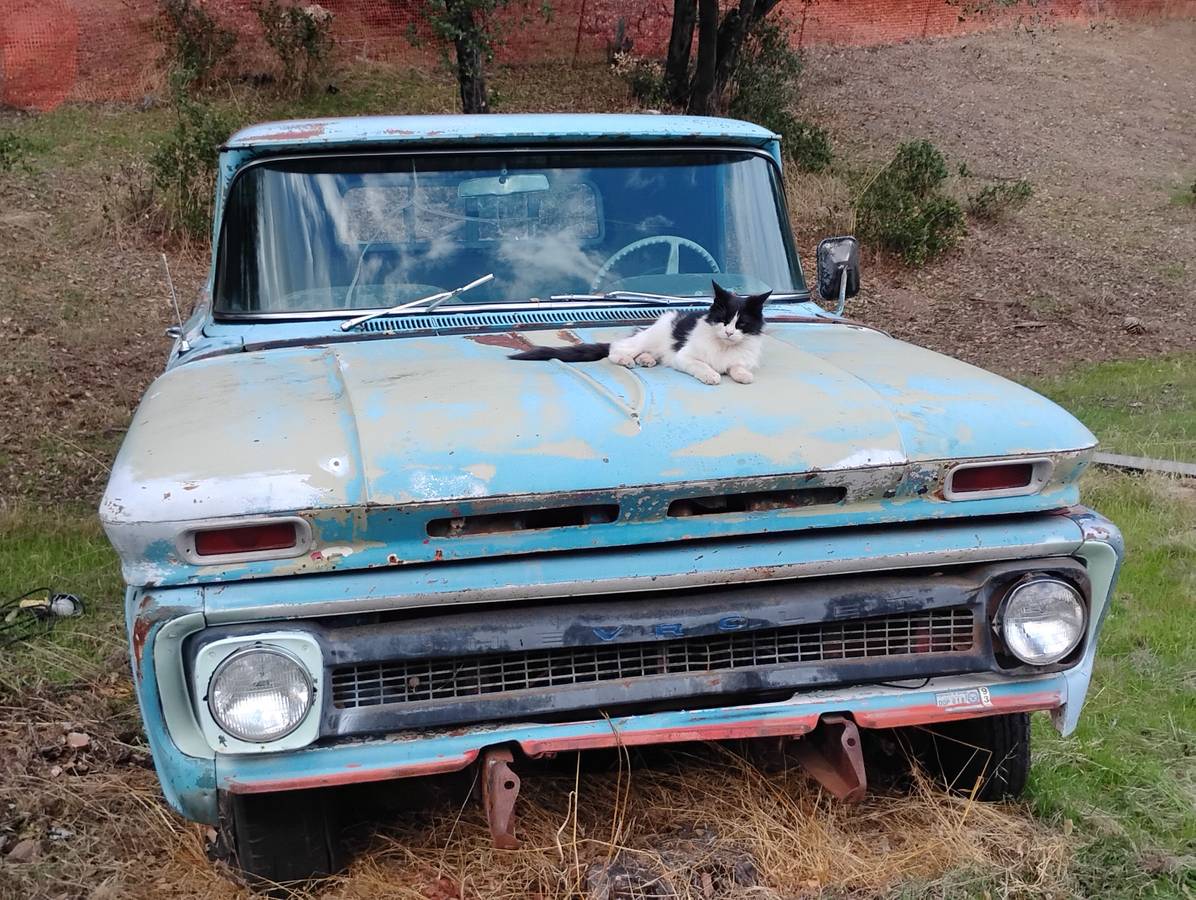 C10-custom-cab.-1962-blue