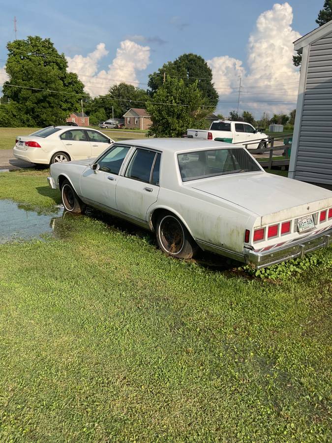 Caprice-classic-1982-white