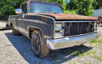 Chevrolet 1/2 Ton Pickup 1986