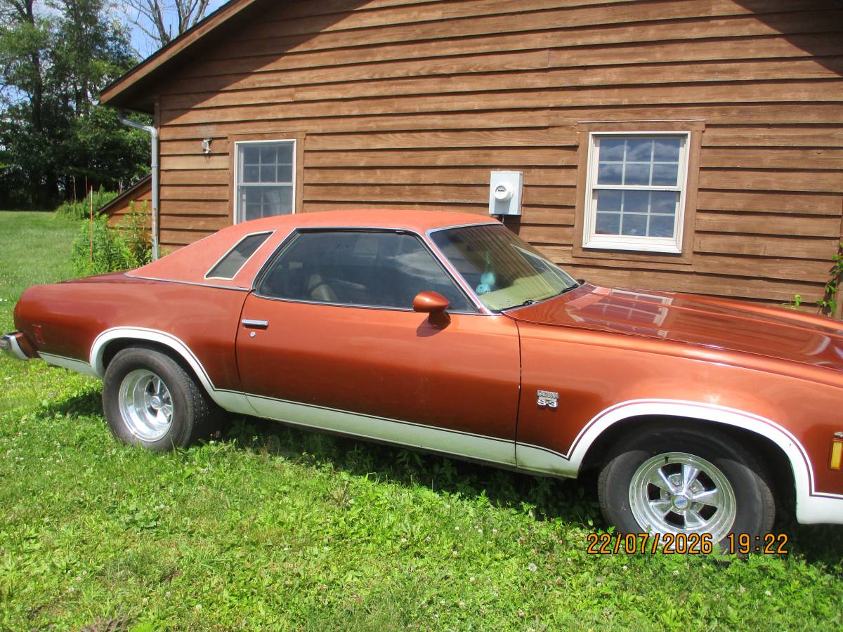 Chevrolet-1974-brown