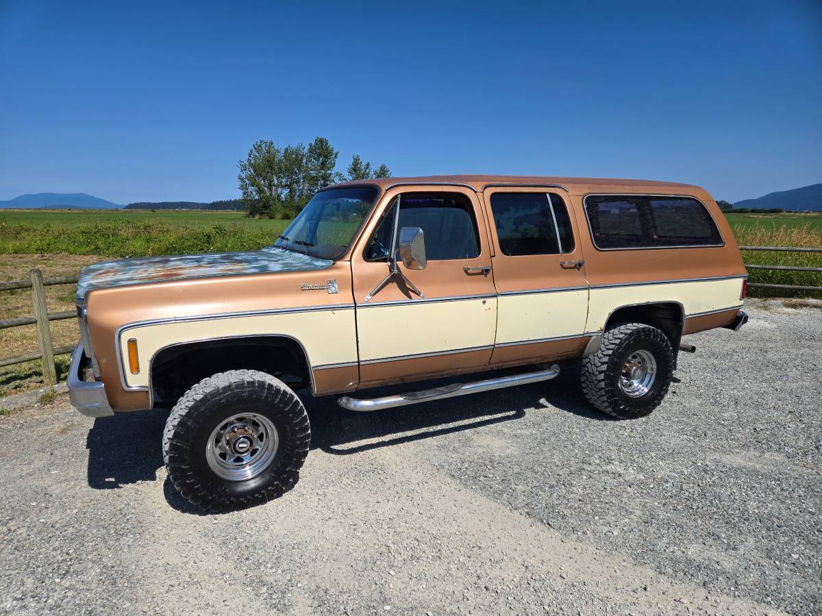 Chevrolet-1979-brown