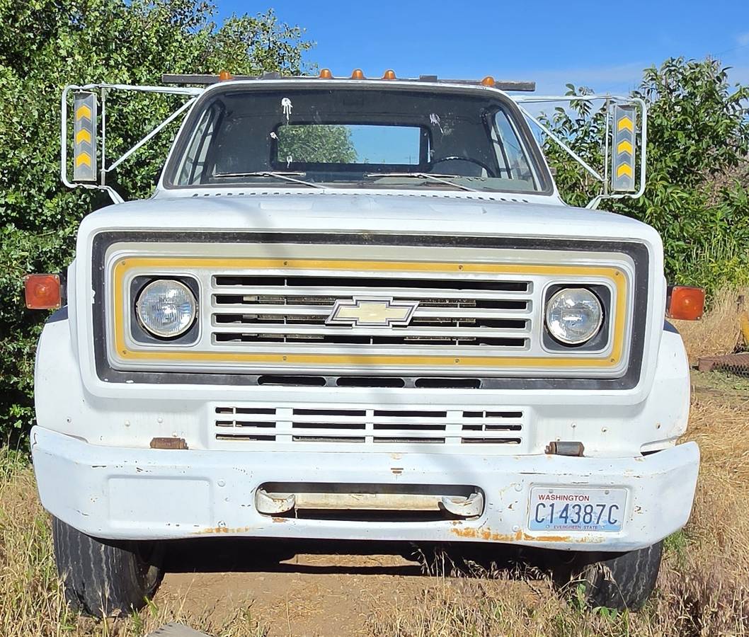 Chevrolet-1979-white