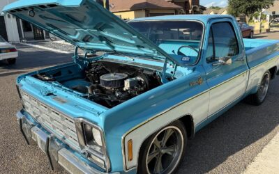 Chevrolet C-10 1979